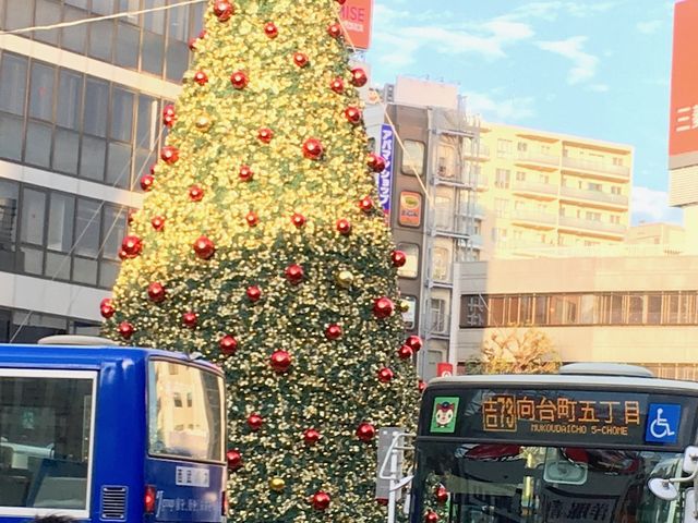 �N���X�}�X�̏���t��_�i�q�g�ˎ��w