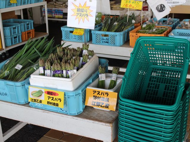 �Y�����_���̉w�@��������