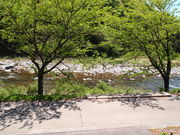 ˂񂳂̓̉w R̗ ̓eʐ^6