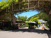 ˂񂳂̓̉wÍ`̗܂ƁE났L̓eʐ^1