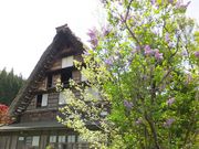 �j�R����񂳂�̖��P�����y�ق̓��e�ʐ^1