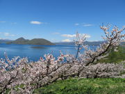 yosshy̑sˌ̔~т̓eʐ^6