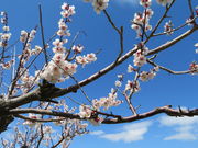 yosshy̑sˌ̔~т̓eʐ^8