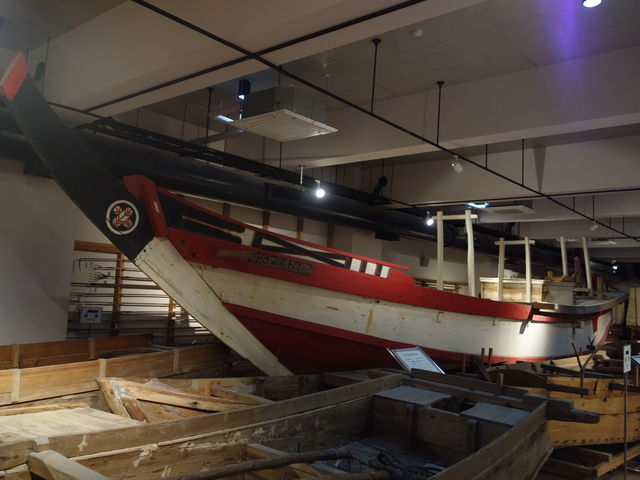 Aocf}_݂ȂƃIAVXg̉whĂ