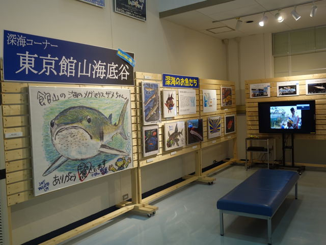 َRM[4_݂ȂƃIAVXg̉whĂ