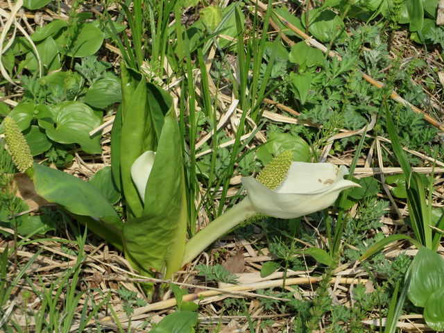 ���m��_����X�ь����V����