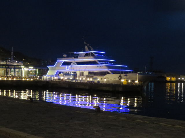 �u���[���[�����C�g�A�b�v_�ό��V���D�u���[���[��