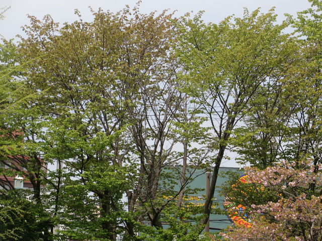 �߂�������_�ܗŊs�����̍�