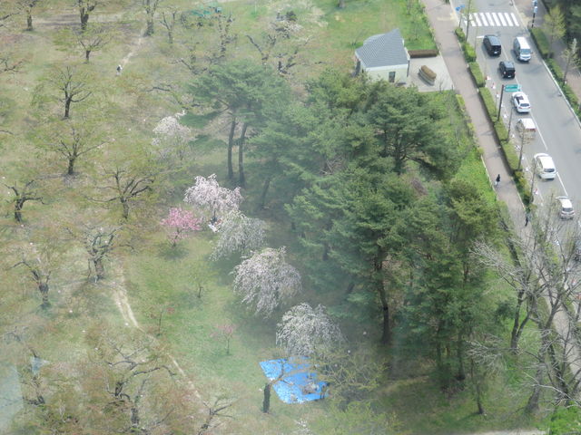 �c���ꂽ��]_�ܗŊs�����̍�