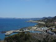 maaaya19َ̊Rp̓eʐ^2