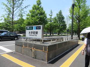 Ԃ񂳂̓gc蒬w̓eʐ^1