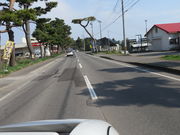 Ԃ񂳂̍T ԏ؂̓̓eʐ^1