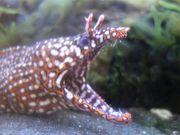 maaaya19̏̔ق̓eʐ^2