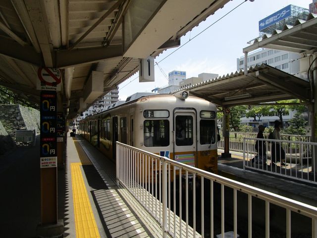 �����z�`�w�̂��Ƃł�_���Ƃł�