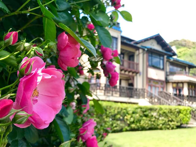 yqwق̃ozmقƂ΂Ǝ荇킹I_qwق̃o