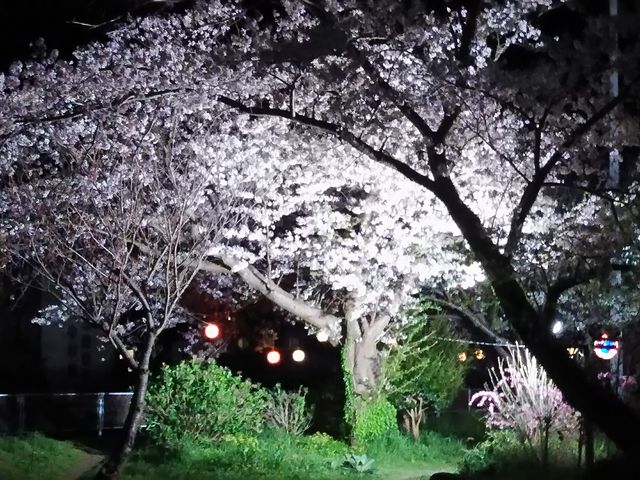 �͒Í�_�͒Í��܂�