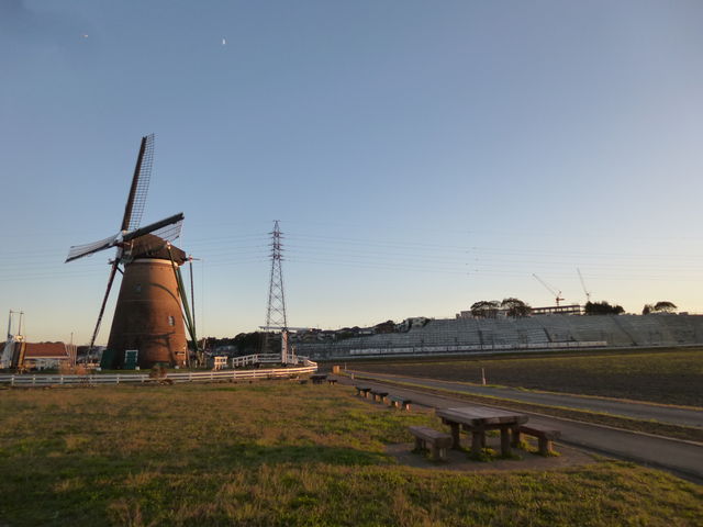 ���w�i�ɔ������ł�_�I�����_���ԃ��[�t�f