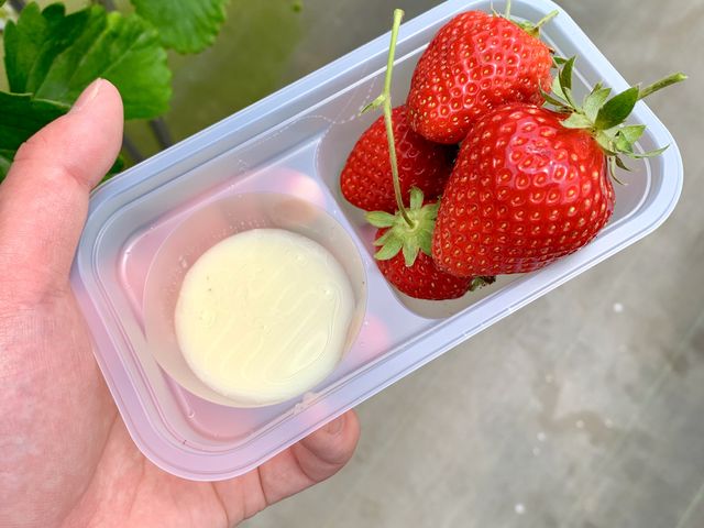 ���߂čs�����̂͒��j���Q�΂̍��ł����B���ꂩ��P�U�N�o���A�P�W�΂ɂȂ������q��A��čĂт�����_���R��������