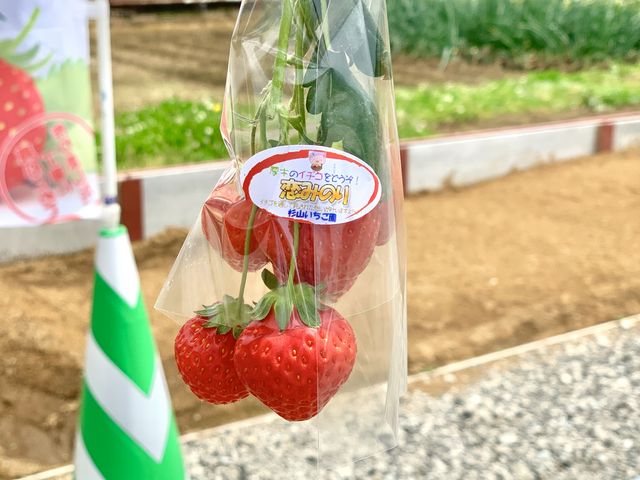 �Ō�ɁA�f�G�Ȃ��y�Y�܂Œ����ō��ł����B
_���R��������