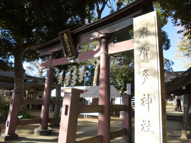 �b����l�ƕz�ܗl���J���Ă��܂�_���ꑽ�_��