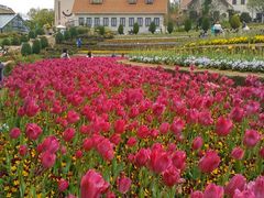 ͂̎Rt[Z^[EnCW̑ւ̓eʐ^1