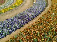 ͂̎Rt[Z^[EnCW̑ւ̓eʐ^2