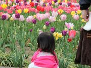 Ƃ񂳂̊␣q̃VNN̓eʐ^1