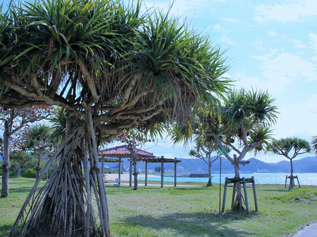 �x�e��������܂�_21���I�̐X�r�[�`