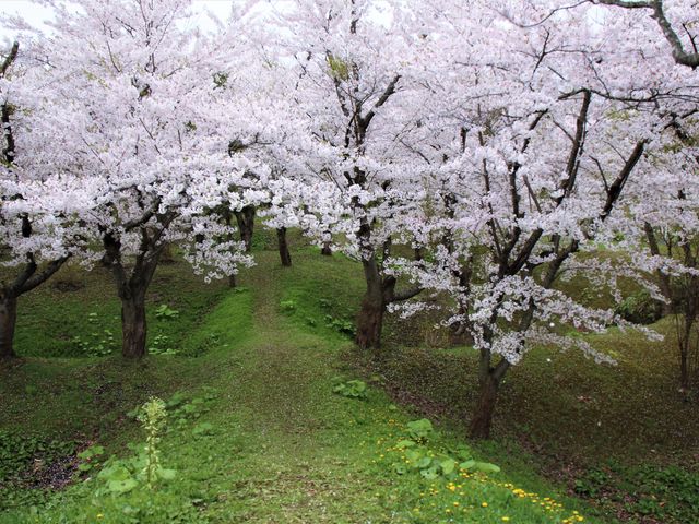 ���̃g���l��_�˓c�L�O��n����