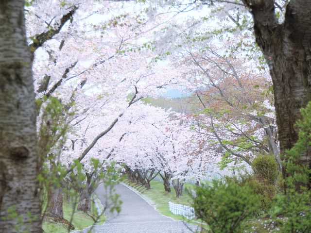 �L������_�˓c�L�O��n����