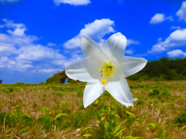 �e�b�|�E�����ƃ~�[�t�K�[_�~�[�t�K�[