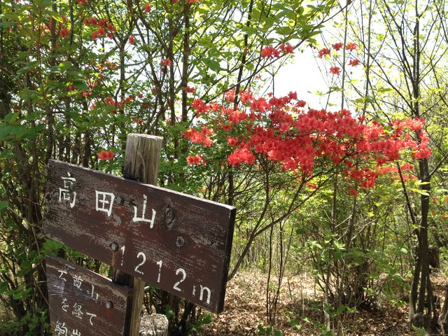 hijikigoke̍cR̓eʐ^2