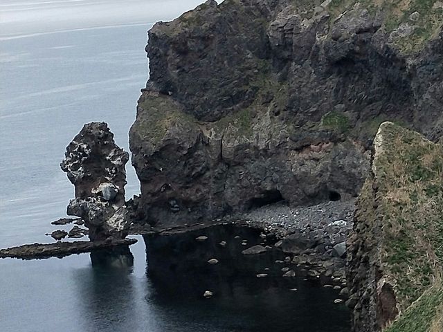 �ݕǂ̉��ɂ��錊�́A�n���}�[�@�Ƃ񂩂����A��@�ł��������������ł��B_�_�Ж�