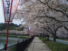 kenken����̏��r�ւ̓��e�ʐ^1