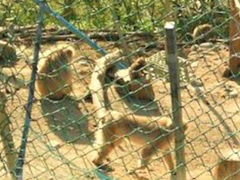 kenken̖쉎ւ̓eʐ^1