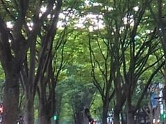 kenken̒Tʂւ̓eʐ^1