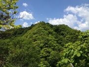 hijikigoke̍cR̓eʐ^1