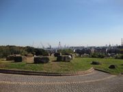 ���i����̖{�q�R�������̓��e�ʐ^1