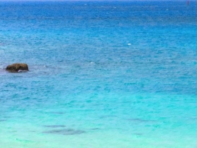 �p�C�i�K�}�r�[�`_�p�C�i�K�}�r�[�`