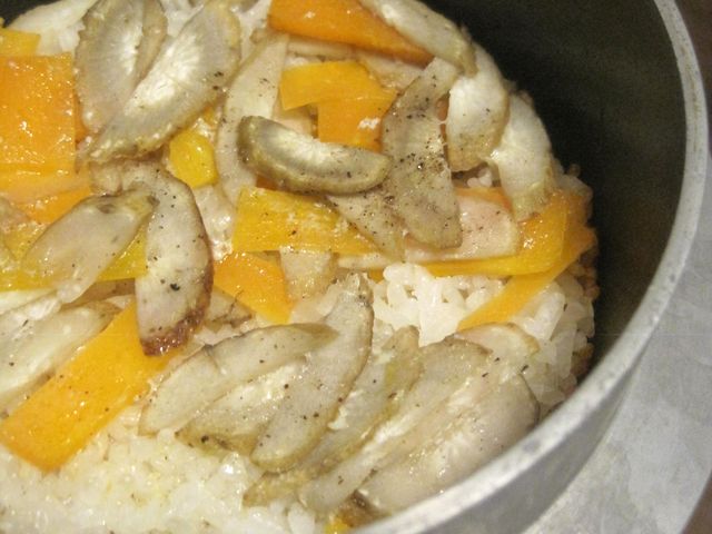 с^ROɂł`B_{Ə{ |Ȃ q