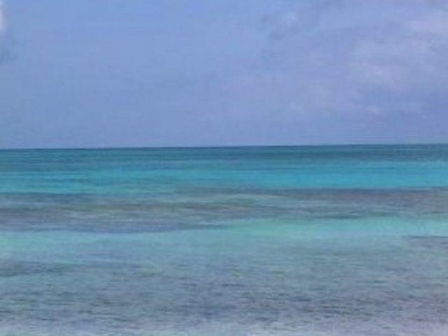 ���ԕl����̒���_���ԕl