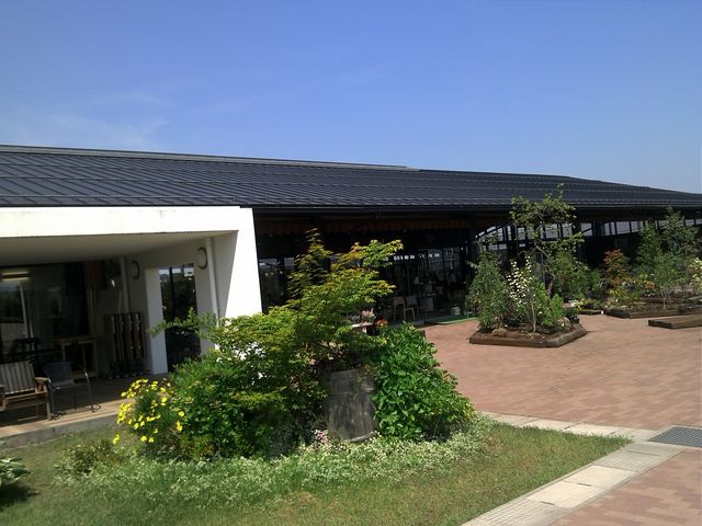 ���C�h�ȃE�b�h�f�b�L�B�B_���̉w �뉀�̋� �ۓ�