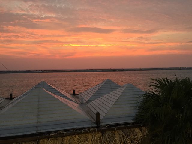 �������̗[��_�������E�~�J�W�e���X