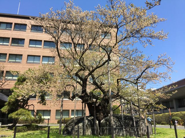 �Ί����@_�Ί���