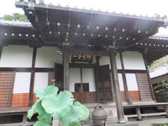 �݂����񂳂�̌������ւ̓��e�ʐ^1