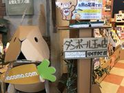 ܂̖i`g ԗKXق̓eʐ^1