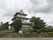 �k�P�Ă郉�C�_�[����̋R����y�ېՂ̓��e�ʐ^1