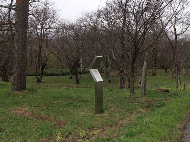 樹木園_東大樹木園