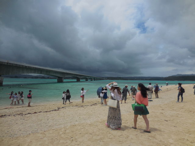 �����ƃR�o���g�u���[�̊C�̃R���g���X�g���f���炵���I_�ÉF���r�[�`