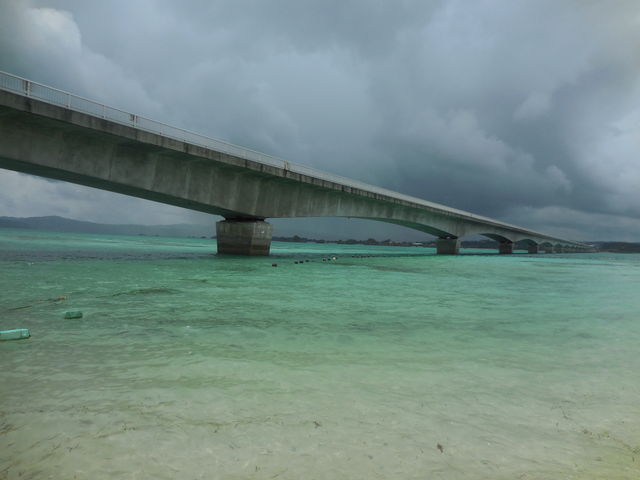 �󂪗~��������_�ÉF���r�[�`